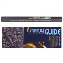 Padmini Spiritual Guide 10g - Bâtonnets d'encens naturels